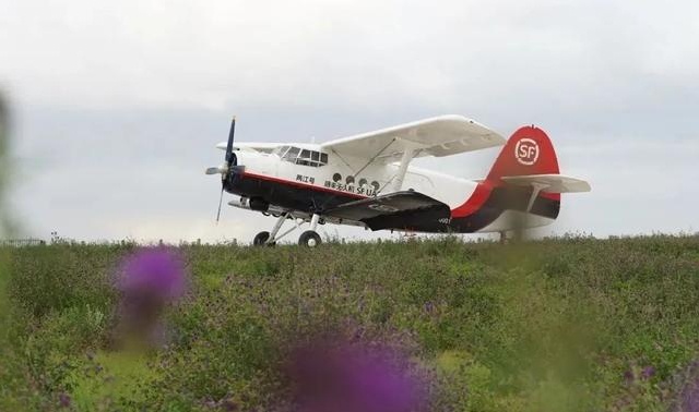 5f6c6ad1-6b2c-4707-afd0-4999ac10c663.jpg 5f6c6ad1-6b2c-4707-afd0-4999ac10c663.jpg